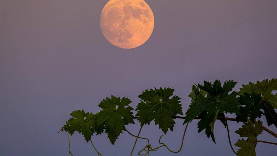 Superluna de ciervo. Foto: EFE.