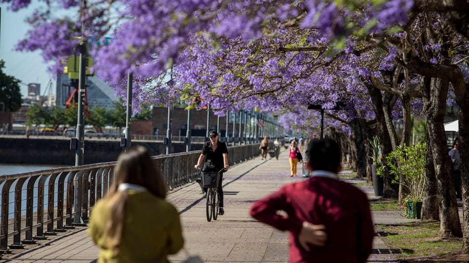 Se adelanta la primavera.