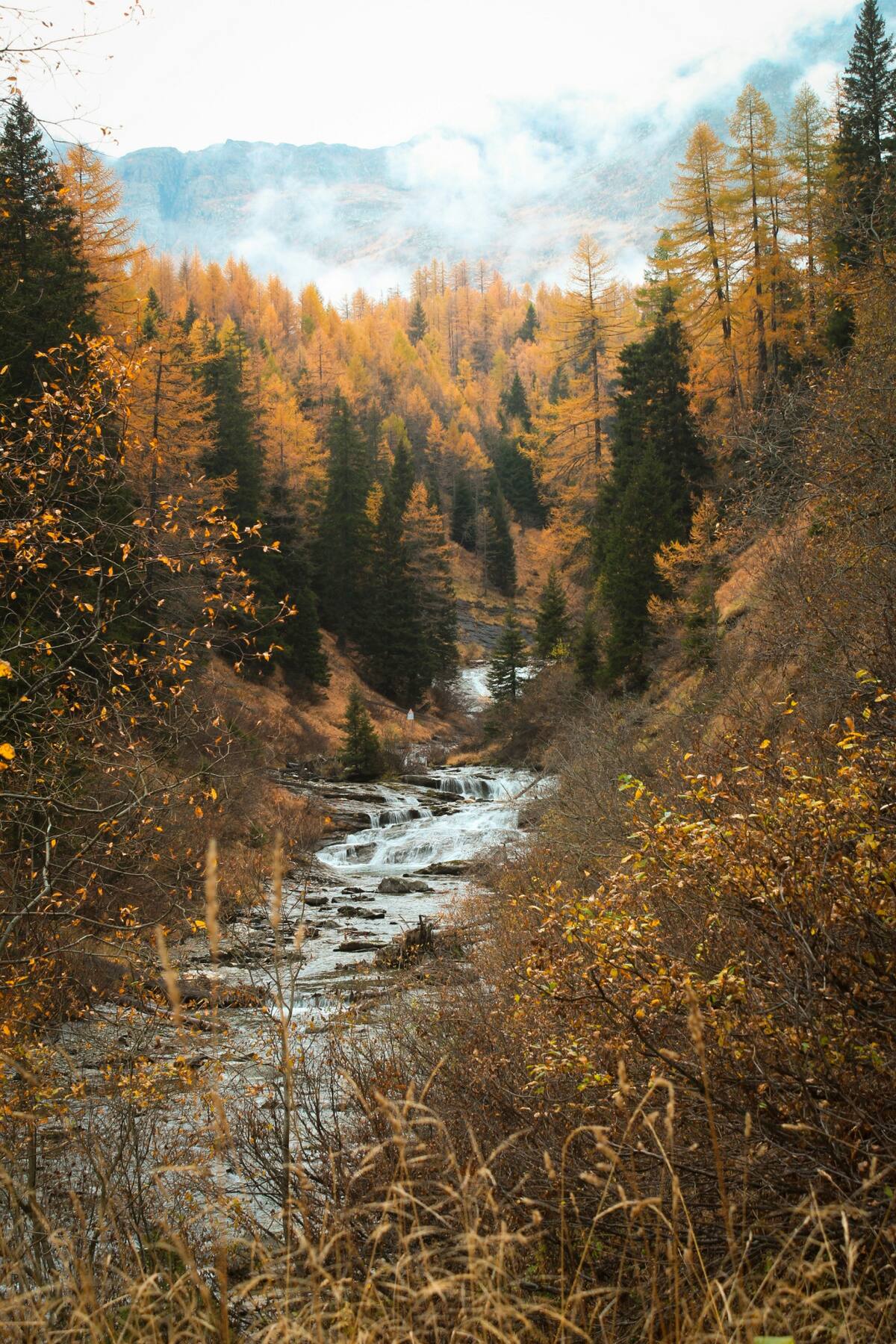 Ríos. Foto Unsplash