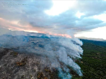 Incendio en parque Los Alerces. Foto: Télam