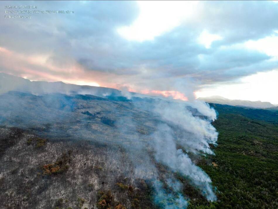Incendio en parque Los Alerces. Foto: Télam