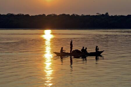 Amazonía brasileña. Foto: EFE.