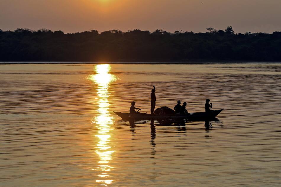 Amazonía brasileña. Foto: EFE.