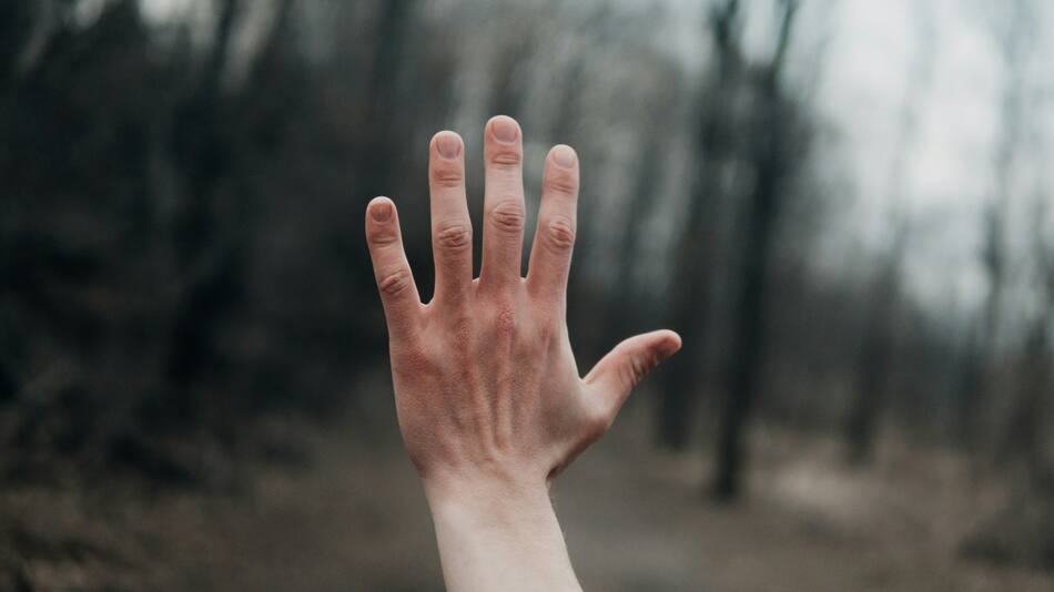 Manos. Foto: Unsplash