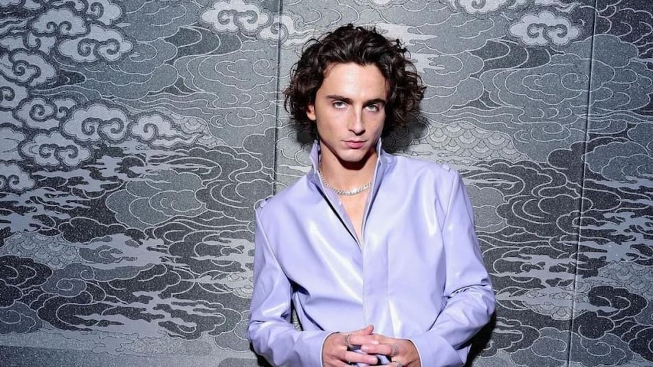 Timothée Chalamet es el hombre más guapo del año. Foto: Instagram / tchalamet.