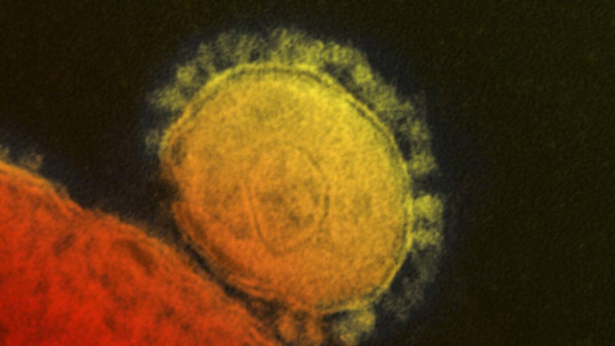 Un individuo dio positivo de MERS-CoV en Emiratos Árabes Unidos. Foto: Reuters.