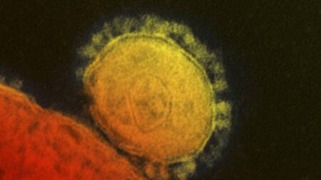 Un individuo dio positivo de MERS-CoV en Emiratos Árabes Unidos. Foto: Reuters.