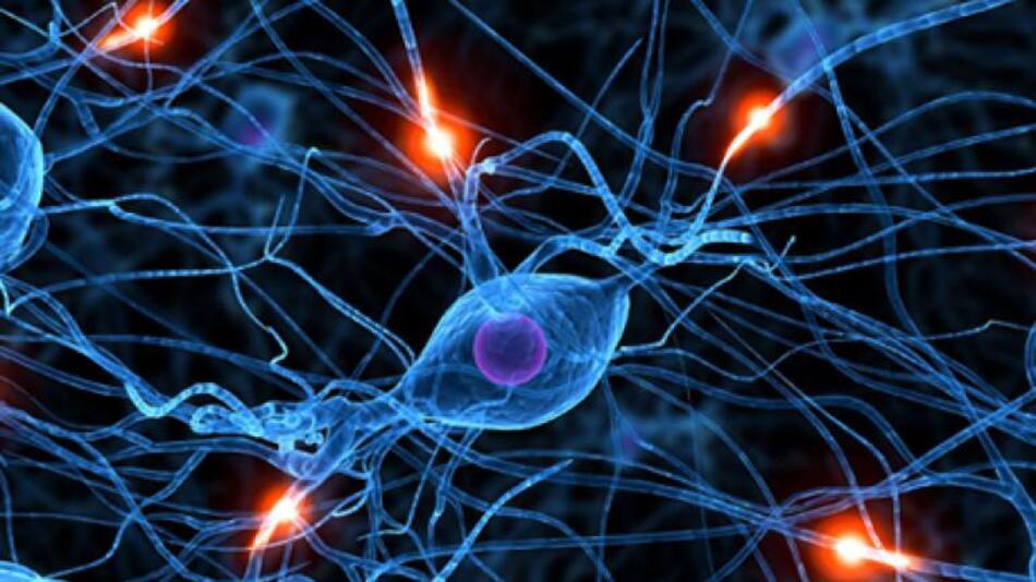 Enfermedades neurodegenerativas