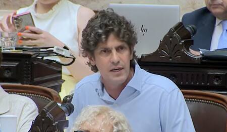 Martín Lousteau en la Cámara de Diputados