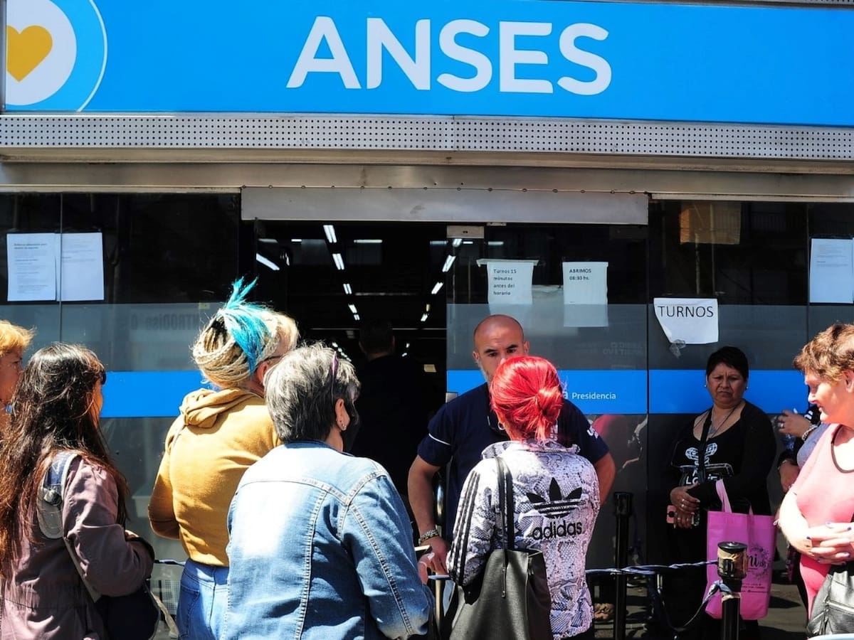ANSES