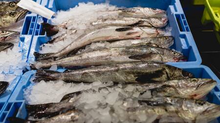 Operativo por subfacturación de pesquera. Foto: Aduana.