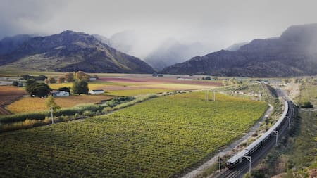 Lujo y safari: el increíble tren 5 estrellas que recorre desiertos y sitios llenos de historia en África