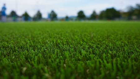 Se estima que el uso de césped sintético genera un 15 % de los microplásticos presentes en las aguas. Foto: Unsplash.