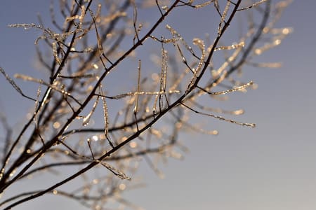 Invierno, frío, bajas temperaturas. Foto: Pixabay.
