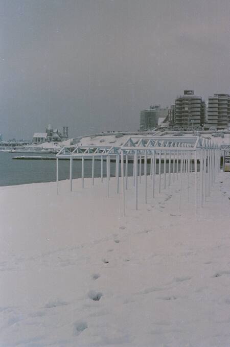 Mar del Plata, 1991. Foto: @agusdalto