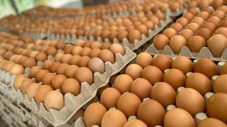 Argentina registró un récord en el consumo y producción de huevos en 2024. Foto: Archivo.