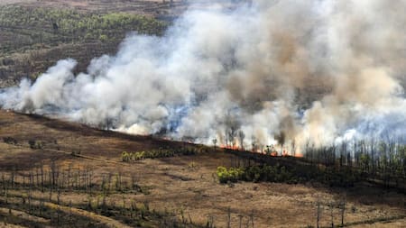 Incendios en el Delta. Foto: NA.