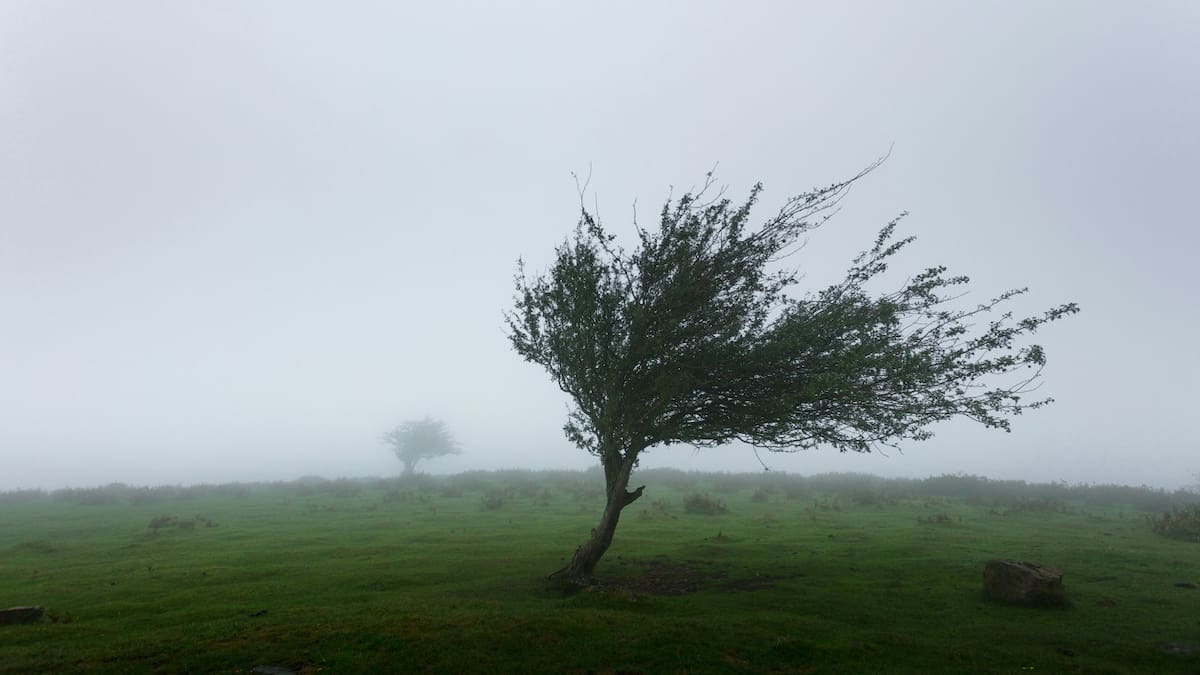 Viento. Foto: Unsplash.