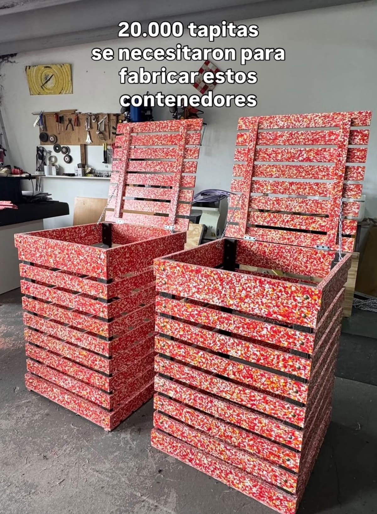 Josefina Diez, la emprendedora de Mar del Plata que recicla plástico.