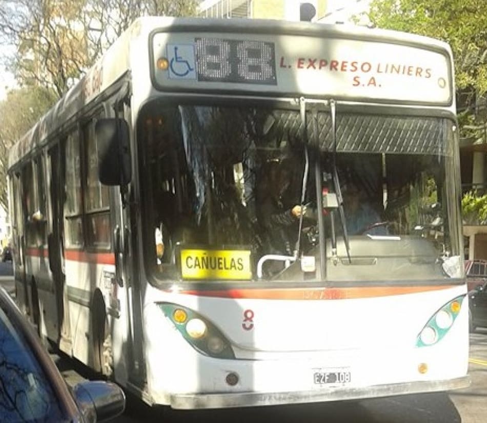 colectivos. Foto: Wikipedia.