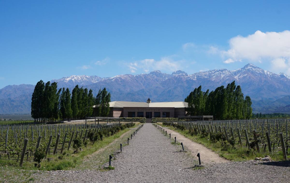 Mendoza. Foto: Unsplash