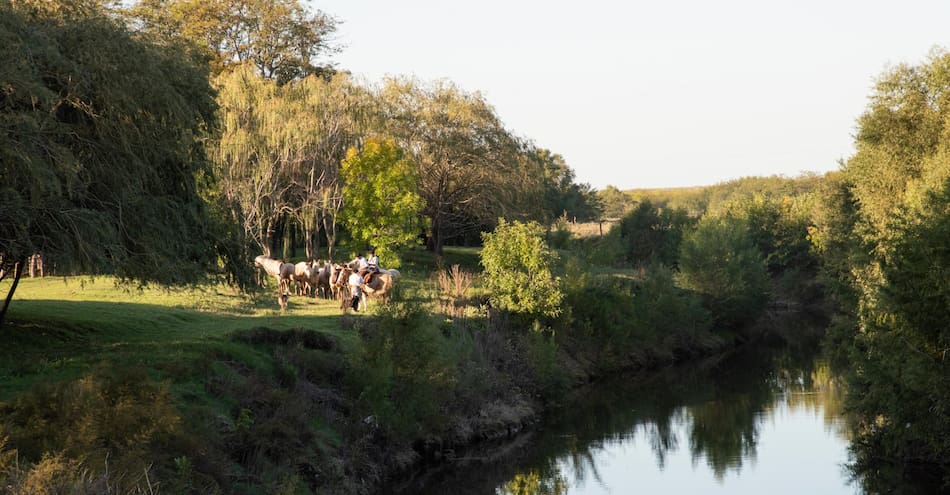 Estancia La Bamba de Areco.
