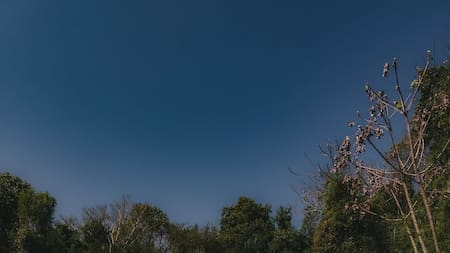 Ecoducto de la Ruta Nacional 101.