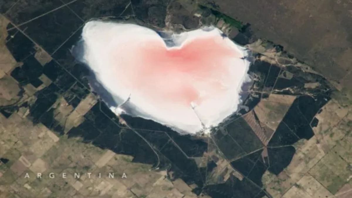 La laguna de Argentina con forma de corazón y un hipnótico color rosa que fue fotografiada por la NASA.