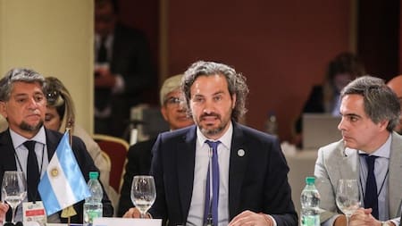 Santiago Cafiero, Cumbre del Mercosur, NA