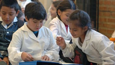 Canasta de crianza del Indec: cuánto costó mantener a un niño durante noviembre 2025