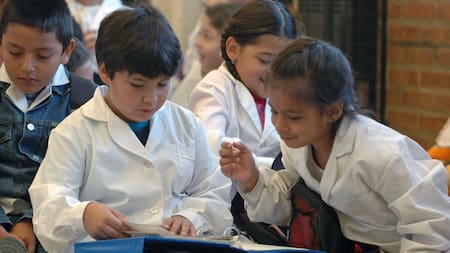 Cambios en el sistema educativo.