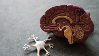 Alzheimer: ¿cuáles son las semillas naturales que podrían ayudar a tratarlo?