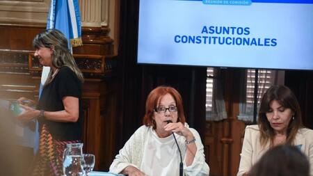 Debate de la suspensión de las PASO en la comisión de Asuntos Constitucionales del Senado. Foto: NA.