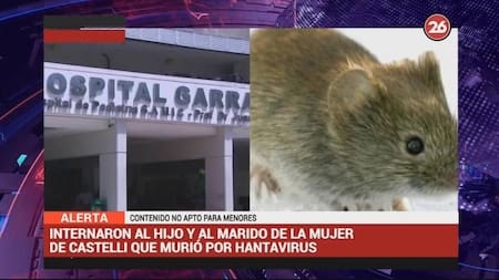 Internación de hijo y marido de víctimas fatales de hantavirus en Castelli (Canal 26)