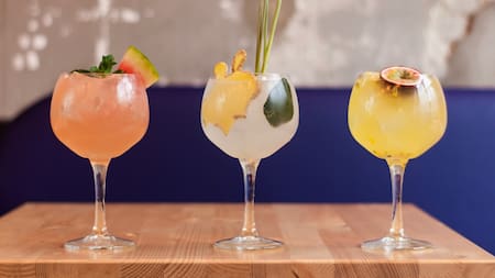 Cuál es el mejor gin de argentina. Foto Unsplash.