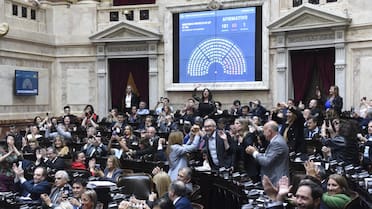 Elecciones 2025: cuántas bancas juegan los partidos y quiénes buscan renovarlas