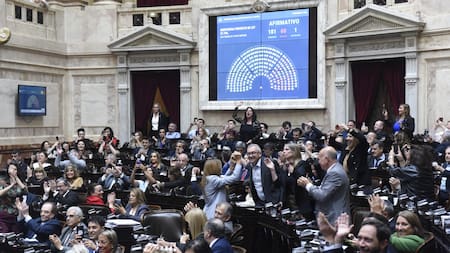 Elecciones 2025: cuántas bancas juegan los partidos y quiénes buscan renovarlas