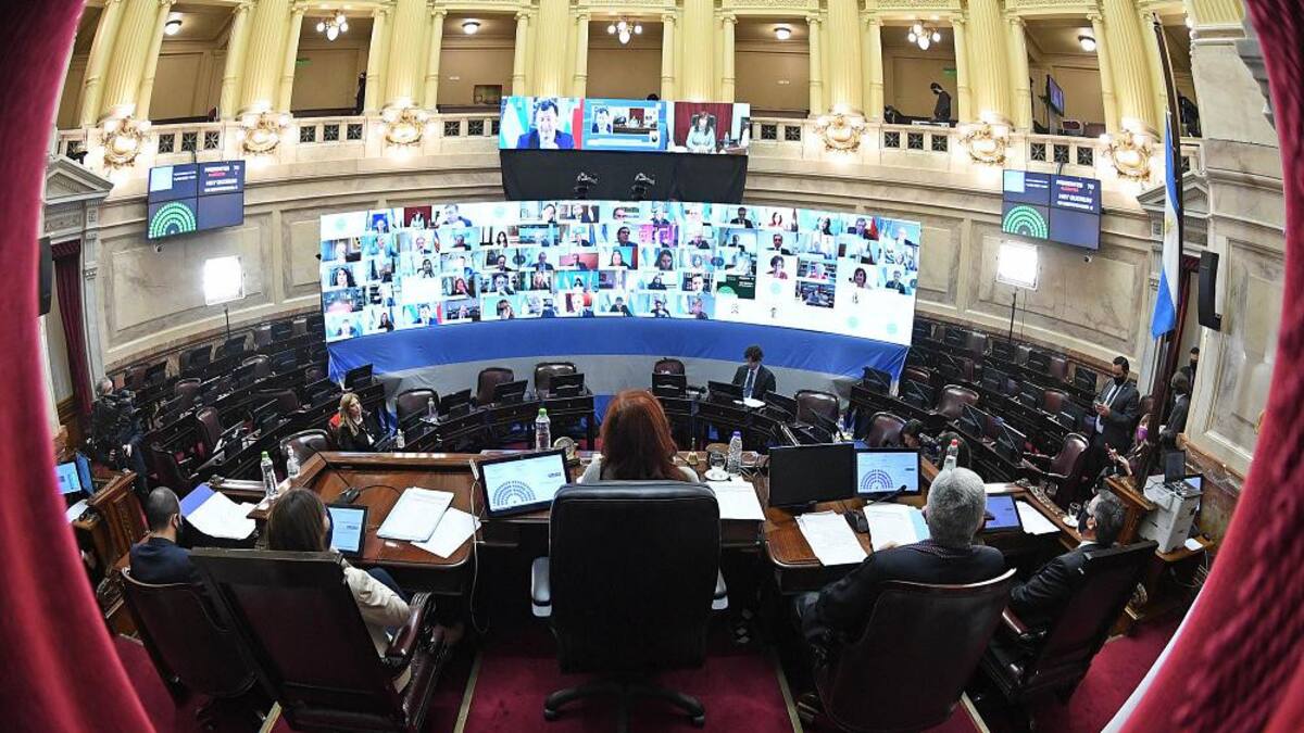 Debate en Senado de La Nación, NA