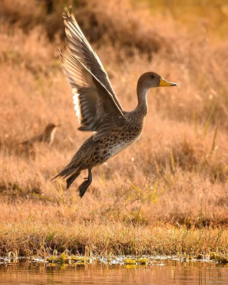 Laguna de San Vicente. Foto INSTAGRAM @reserva_san_vicente