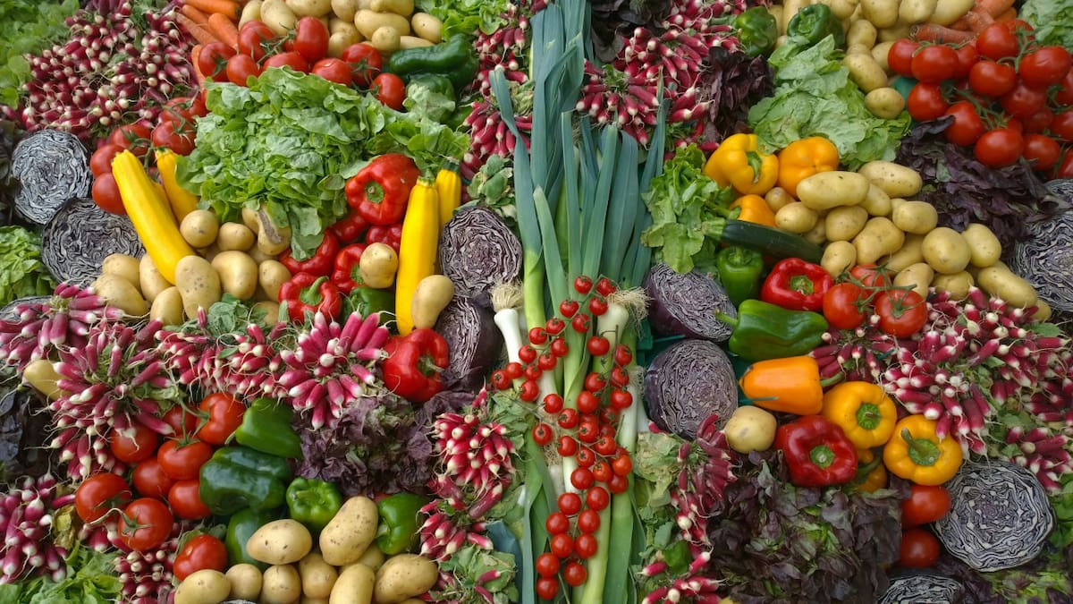 Para armar tu propia huerta saludable: las tres verduras ideales para sembrar en abril y disfrutar durante el invierno