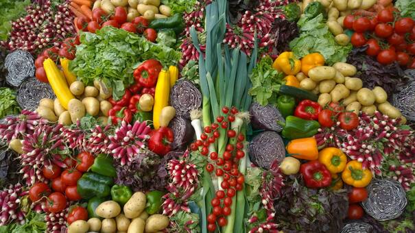 Para armar tu propia huerta saludable: las tres verduras ideales para sembrar en abril y disfrutar durante el invierno