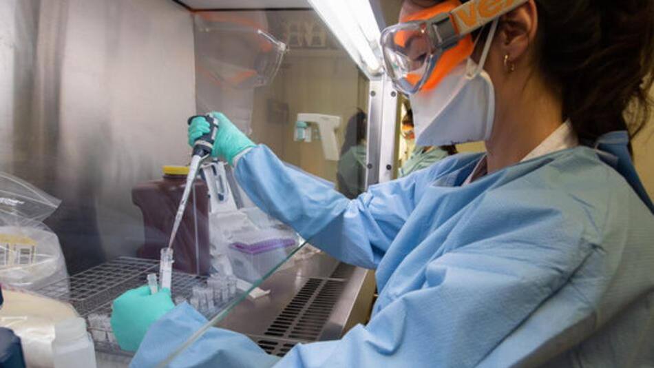 Coronavirus, pandemia, mundo