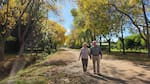 A dos horas de CABA: el pueblito “del millón de árboles” que enamora a las parejas de jubilados con sus paisajes y tranquilidad