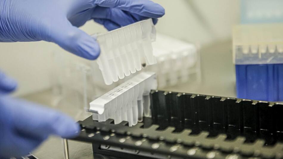 Coronavirus en Rusia, Vacuna Sputnik-V, REUTERS