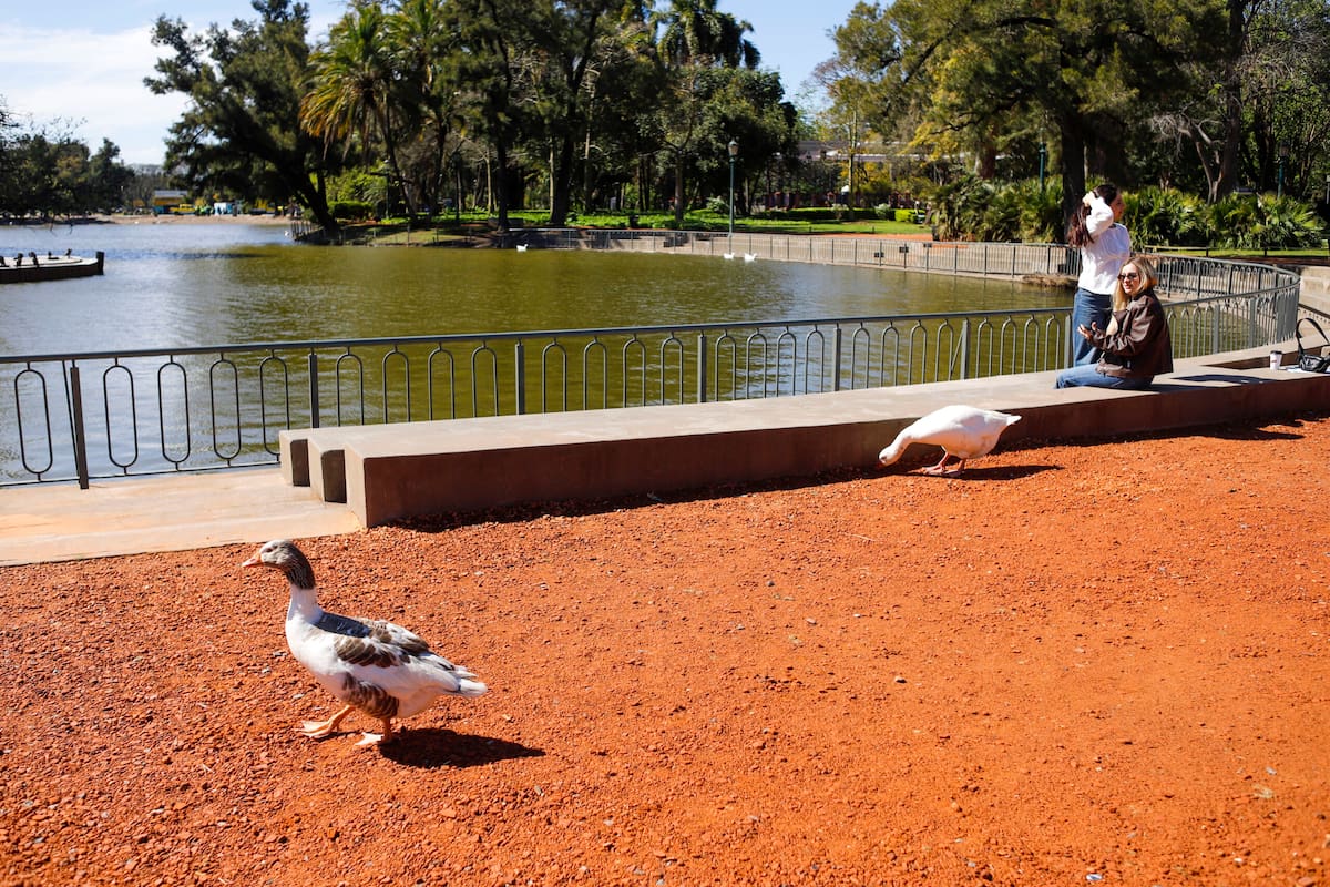 Los bosques de Palermo celebran la primavera este 21 de septiembre.