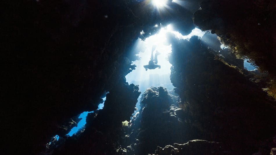 Hallan una misteriosa especie marina en Nueva Zelanda. Fuente: Unsplash.