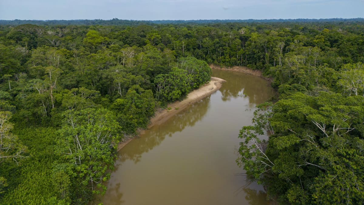 Unos 40 países se unieron para proteger ríos y humedales, vitales para el ecosistema. Foto: EFE.