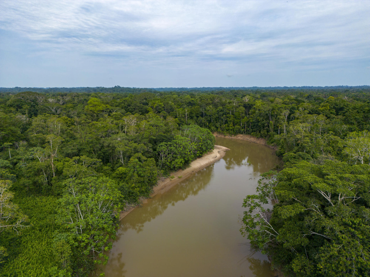 Unos 40 países se unieron para proteger ríos y humedales, vitales para el ecosistema. Foto: EFE.