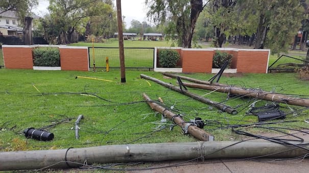 Las impactantes imágenes que dejó el temporal en AMBA: árboles caídos, autos destrozados y establecimientos sin techo.