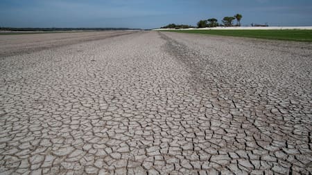 La crisis climática fue la principal impulsora de la sequía en la Amazonía en 2023. EFE
